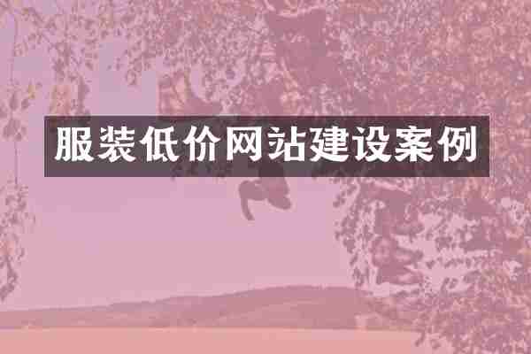 服装低价网站建设案例