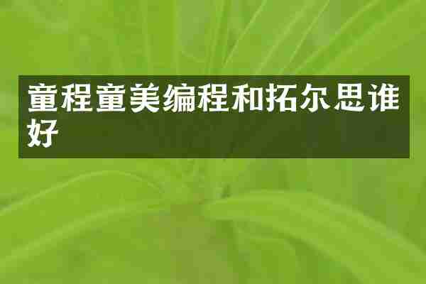 童程童美编程和拓尔思谁好