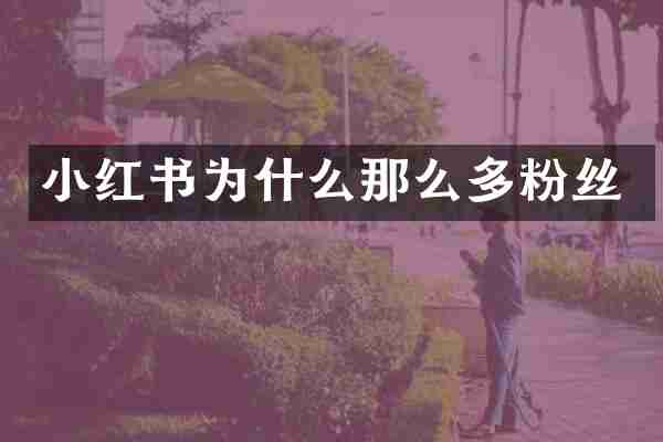 小红书为什么那么多粉丝