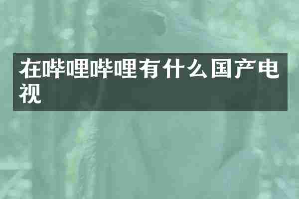 在哔哩哔哩有什么国产电视