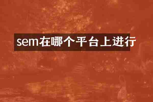 sem在哪个平台上进行