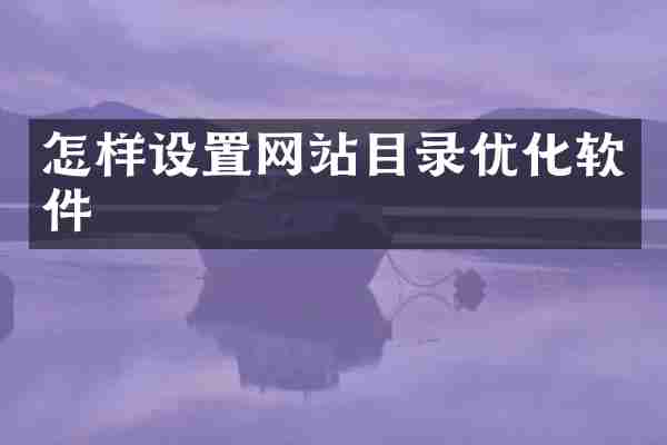 怎样设置网站目录优化软件