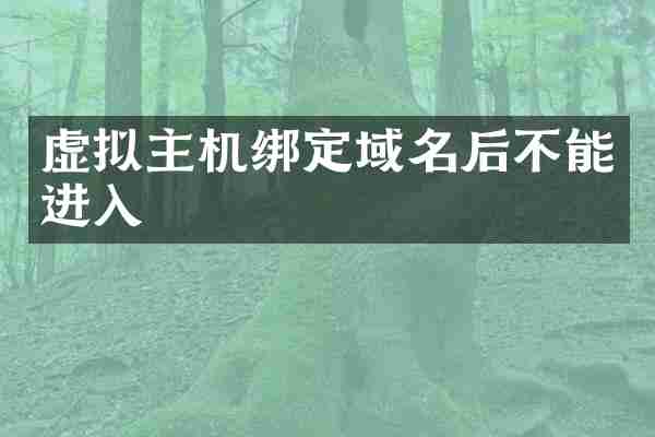 虚拟主机绑定域名后不能进入