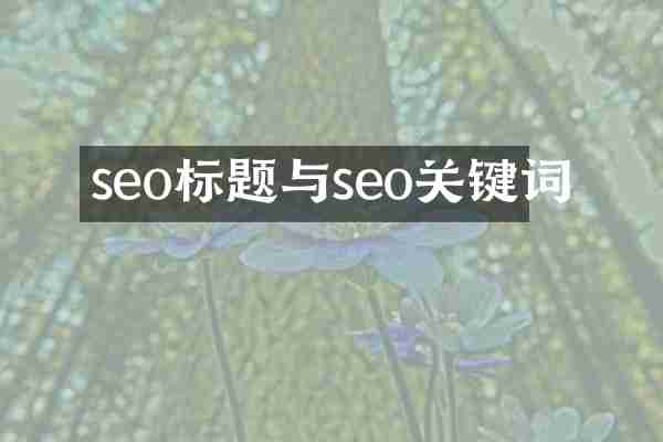 seo标题与seo关键词
