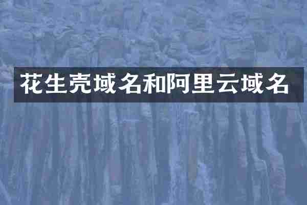 花生壳域名和阿里云域名