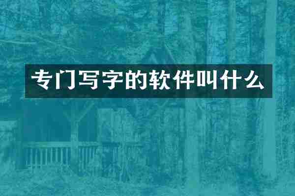 专门写字的软件叫什么