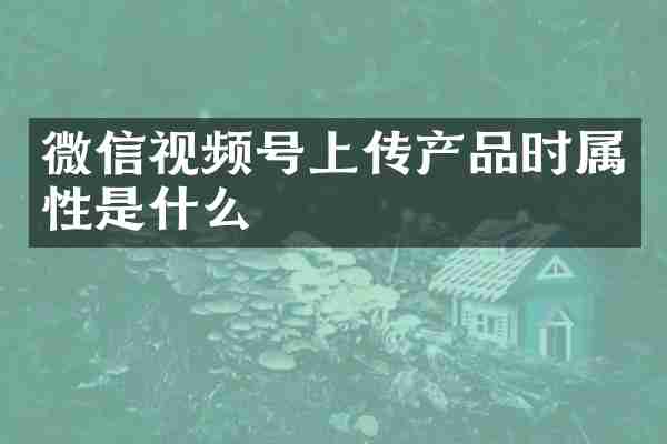微信视频号上传产品时属性是什么