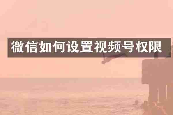 微信如何设置视频号权限