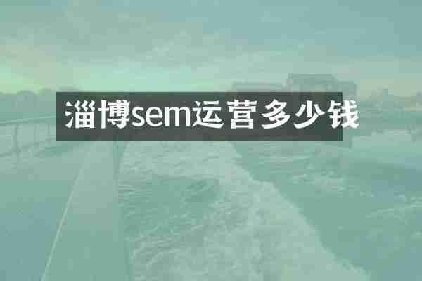 淄博sem运营多少钱