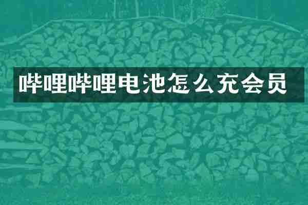 哔哩哔哩电池怎么充会员