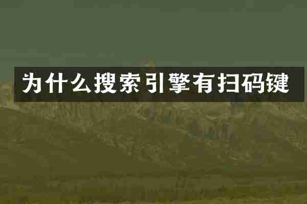 为什么搜索引擎有扫码键