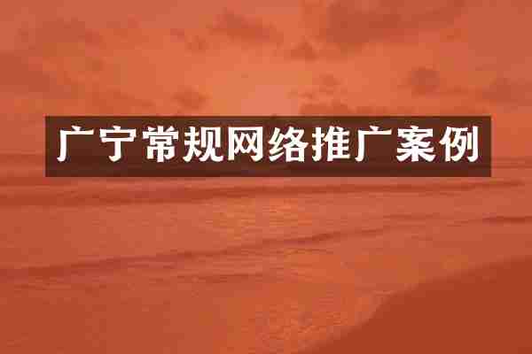 广宁常规网络推广案例