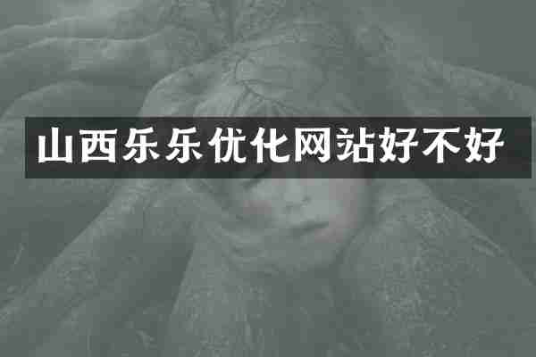 山西乐乐优化网站好不好