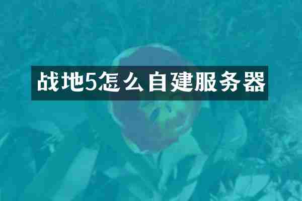 战地5怎么自建服务器