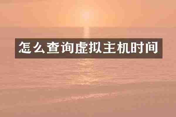 怎么查询虚拟主机时间