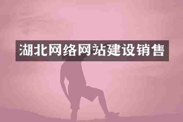 湖北网络网站建设销售