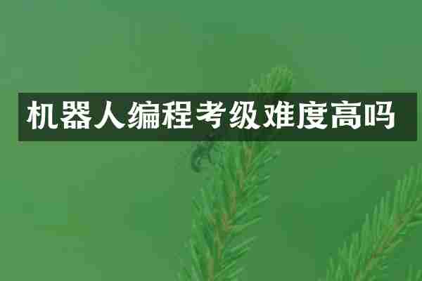 机器人编程考级难度高吗