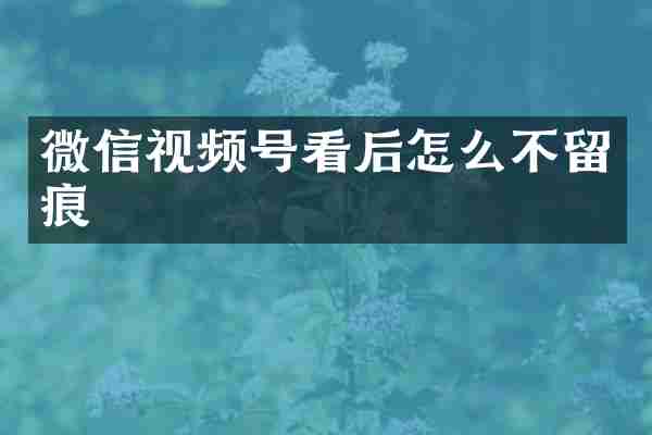 微信视频号看后怎么不留痕