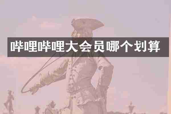 哔哩哔哩大会员哪个划算
