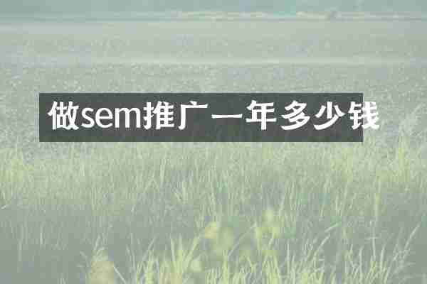 做sem推广一年多少钱