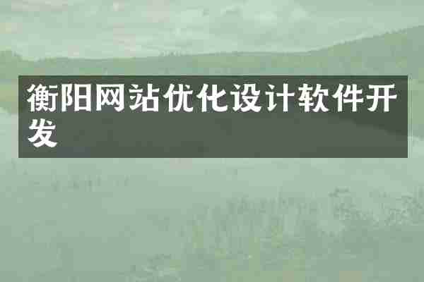 衡阳网站优化设计软件开发