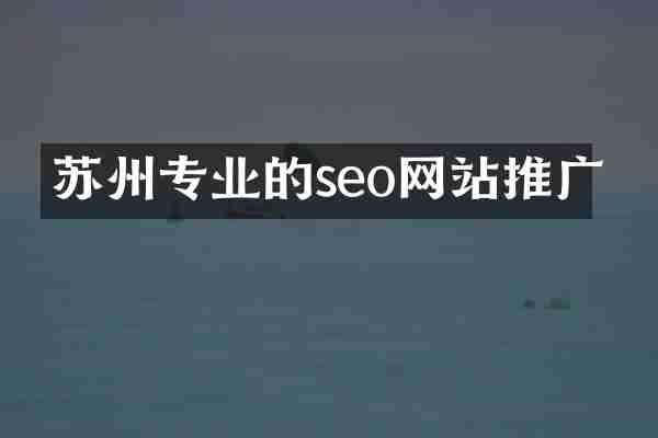 苏州专业的seo网站推广