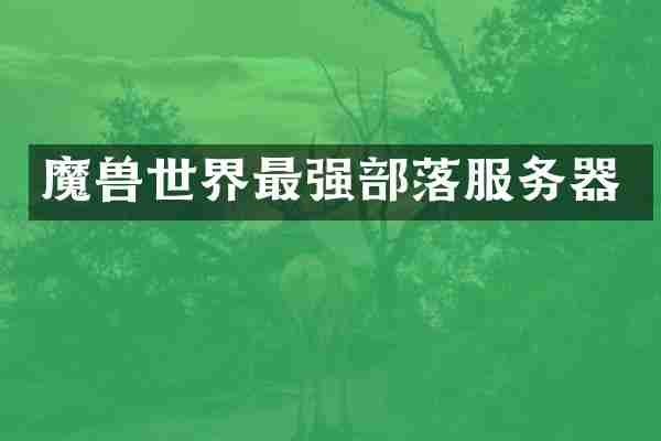 魔兽世界最强部落服务器