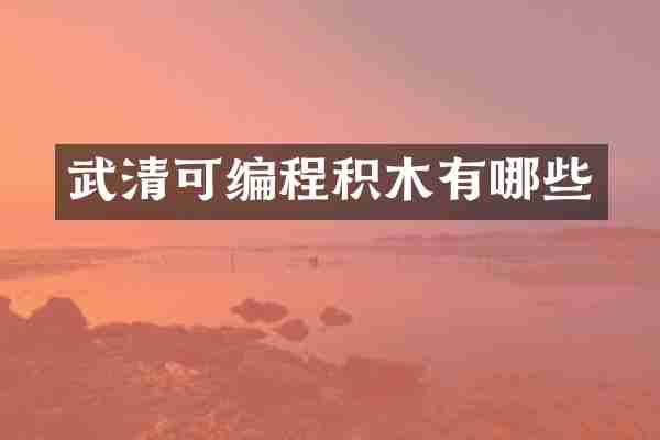 武清可编程积木有哪些