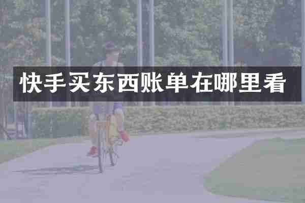 快手买东西账单在哪里看