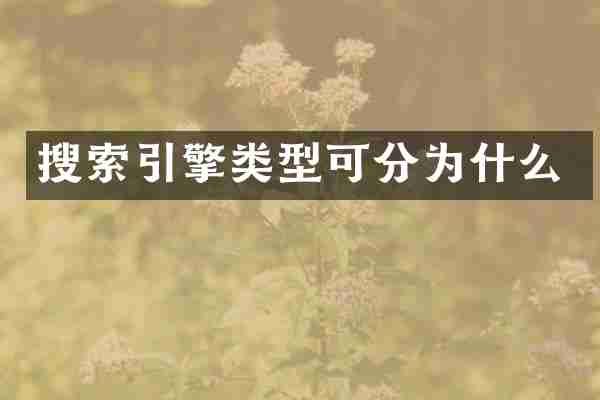 搜索引擎类型可分为什么