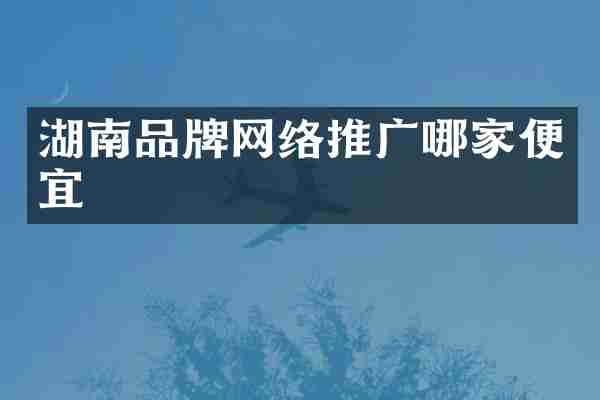 湖南品牌网络推广哪家便宜