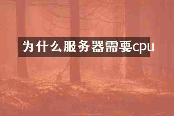 为什么服务器需要cpu