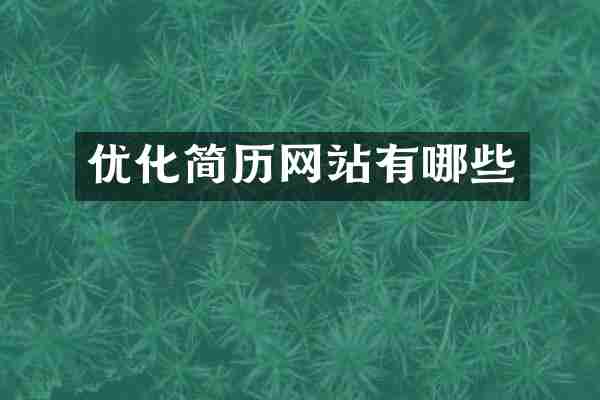 优化简历网站有哪些