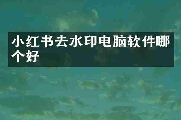 小红书去水印电脑软件哪个好