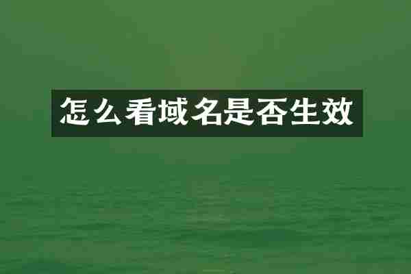 怎么看域名是否生效