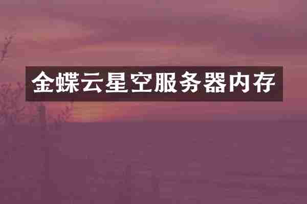 金蝶云星空服务器内存