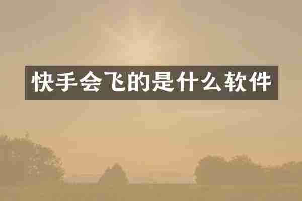 快手会飞的是什么软件