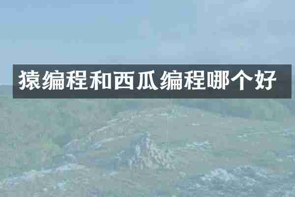 猿编程和西瓜编程哪个好