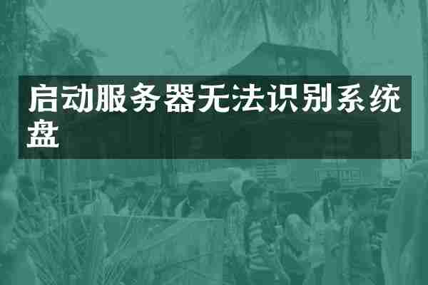 启动服务器无法识别系统盘
