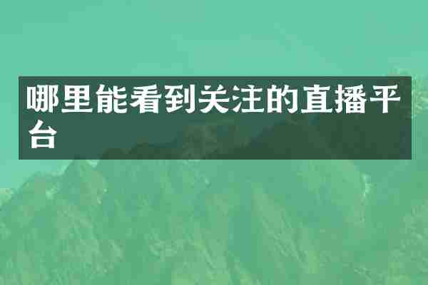 哪里能看到关注的直播平台