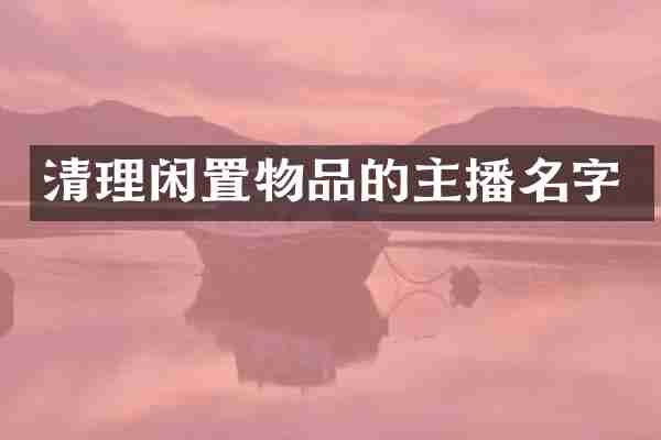 清理闲置物品的主播名字