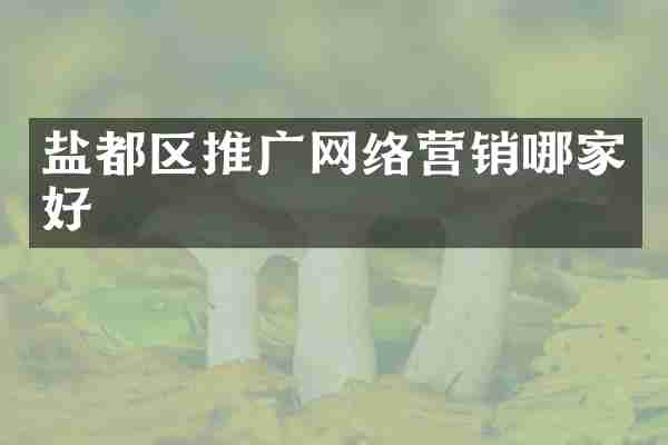 盐都区推广网络营销哪家好
