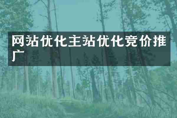 网站优化主站优化竞价推广