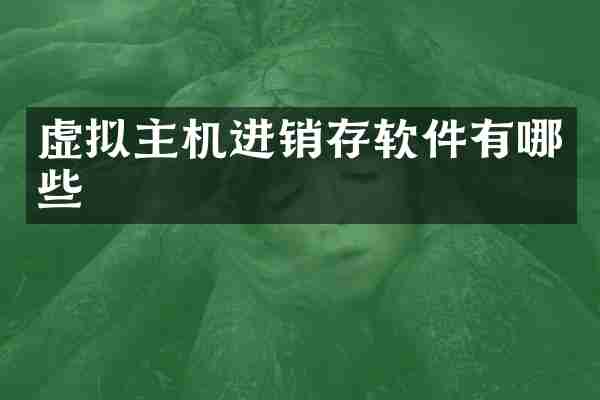 虚拟主机进销存软件有哪些