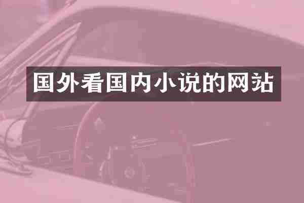 国外看国内小说的网站