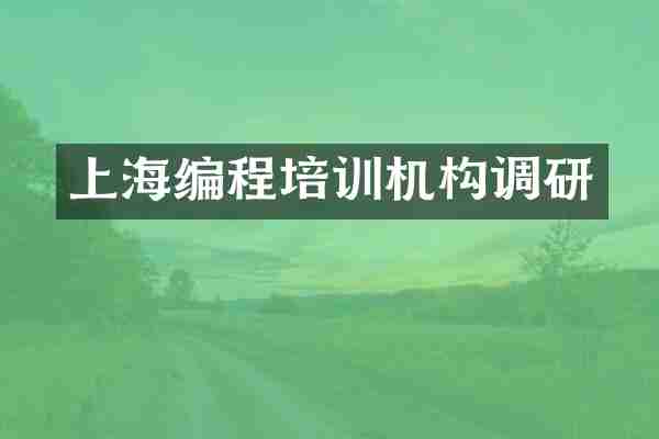 上海编程培训机构调研