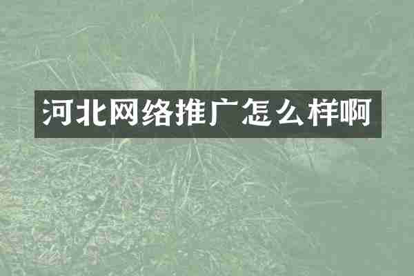河北网络推广怎么样啊