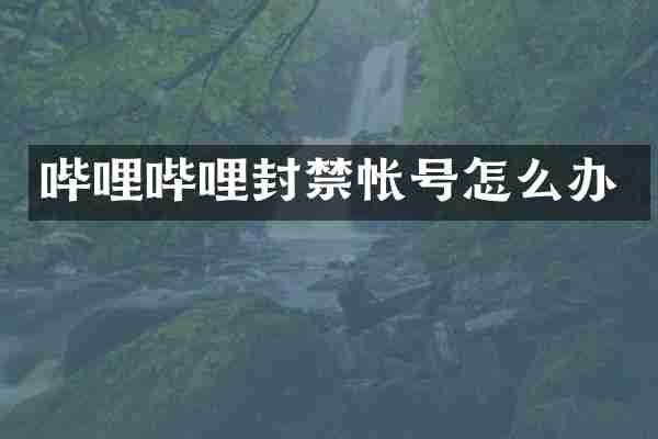 哔哩哔哩封禁帐号怎么办