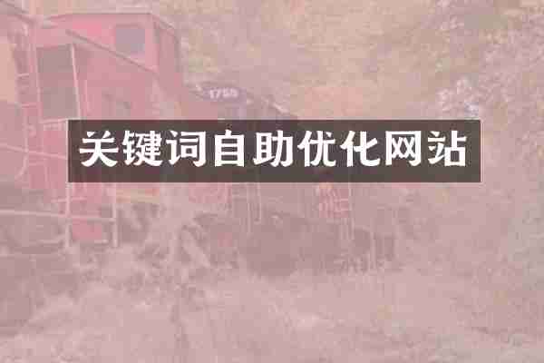 关键词自助优化网站