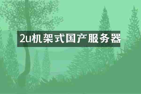 2u机架式国产服务器